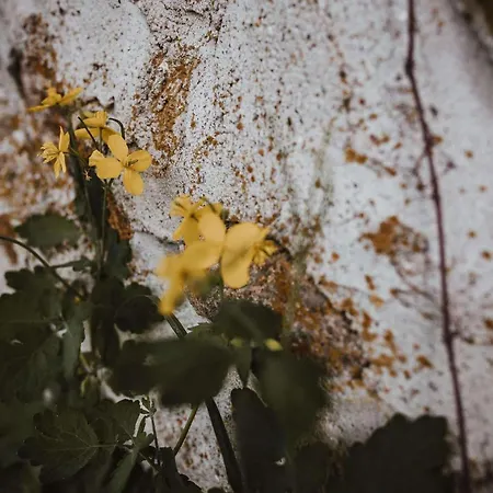 Séjour à la ferme Pod Gwiazdami