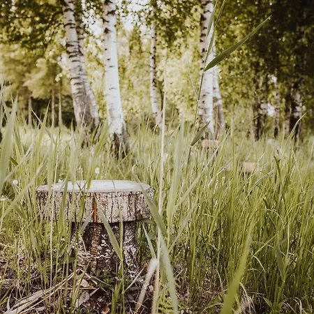 Séjour à la ferme Pod Gwiazdami Piaski (Elk)