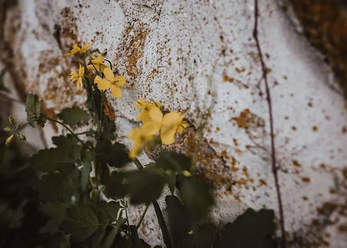 Farm stay Pod Gwiazdami