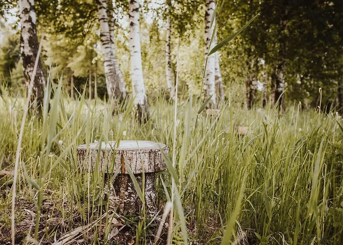 Farm stay Pod Gwiazdami Piaski (Elk)